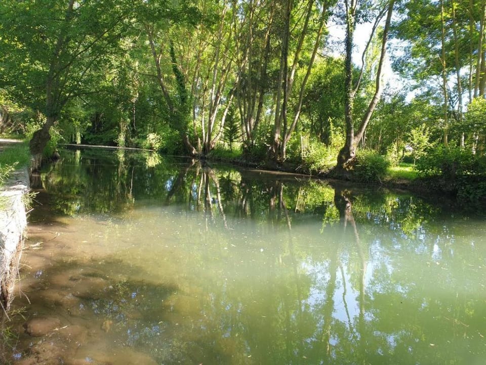 Spring, Day, Natural landscape, River view