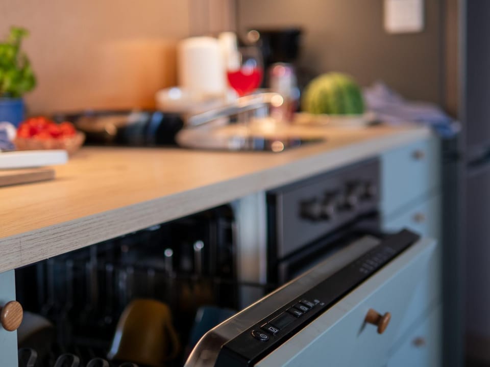 Kitchen or kitchenette, dishwasher, stove