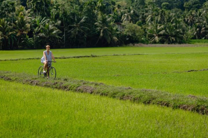 Emel's Retreat Villa Bed and Breakfast in Southern Province