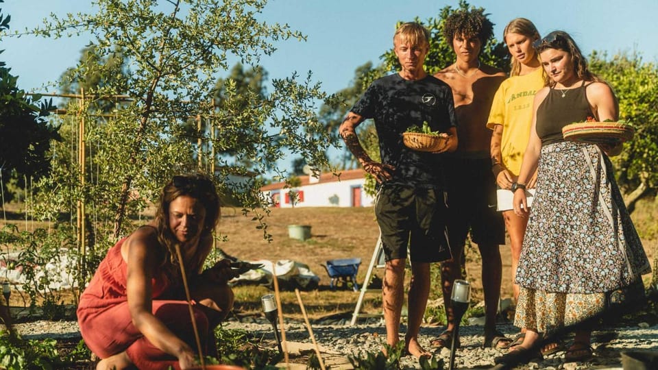 People, Natural landscape, Garden, Garden view, group of guests