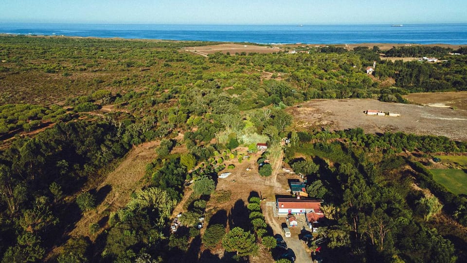 Natural landscape, Bird's eye view, Sea view