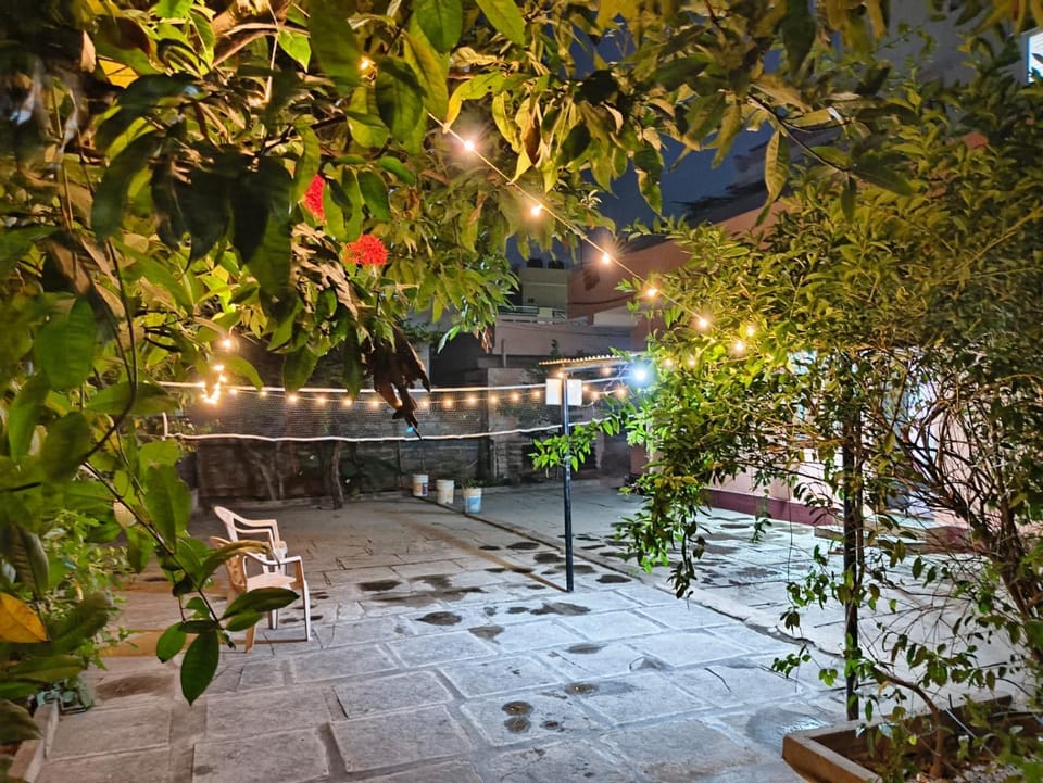 Night, Garden, Garden, Garden view