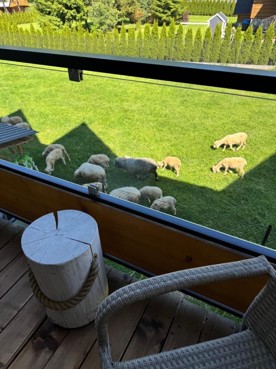 Balcony/Terrace, Garden view