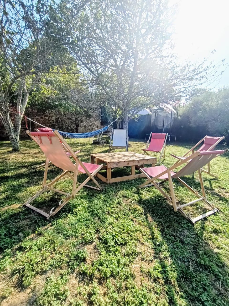 Garden, Garden, Garden view, sunbed