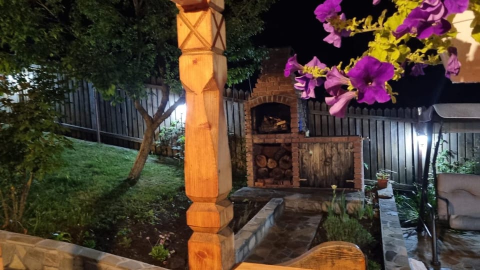 Night, Garden view