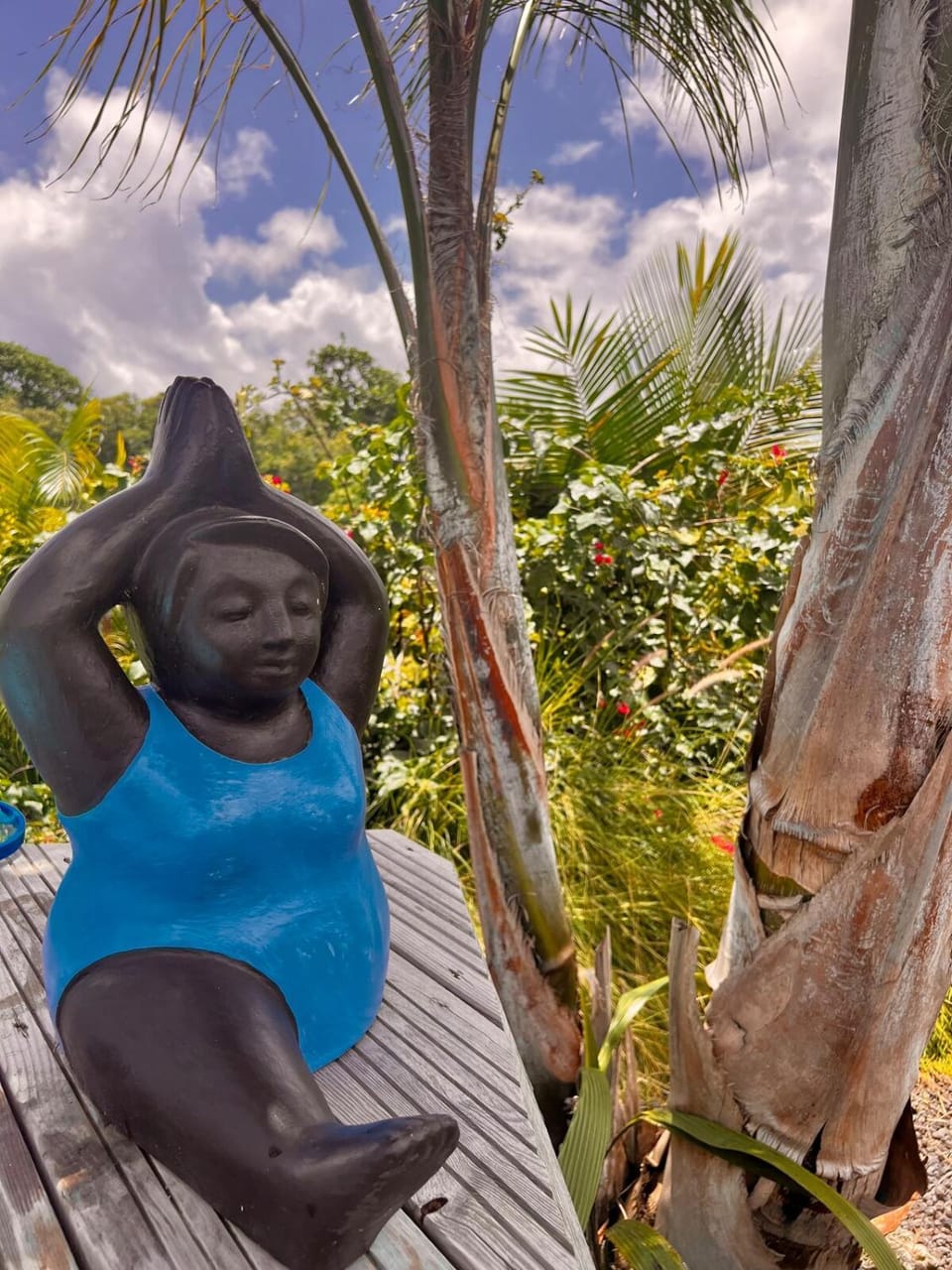 La Papaye d’Or Apartment in Grande-Terre, Guadeloupe