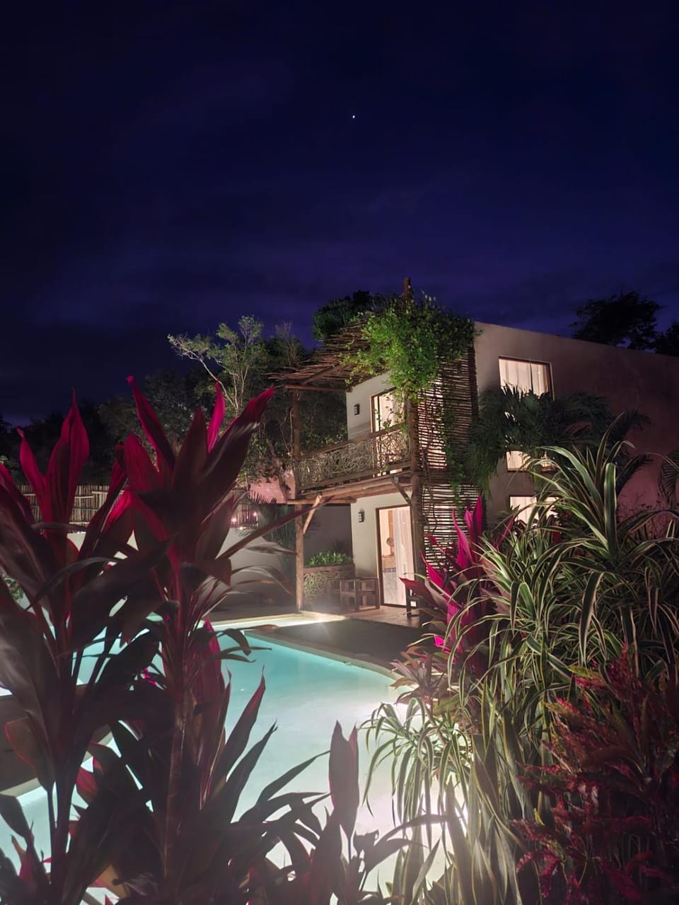 Night, Garden, Swimming pool