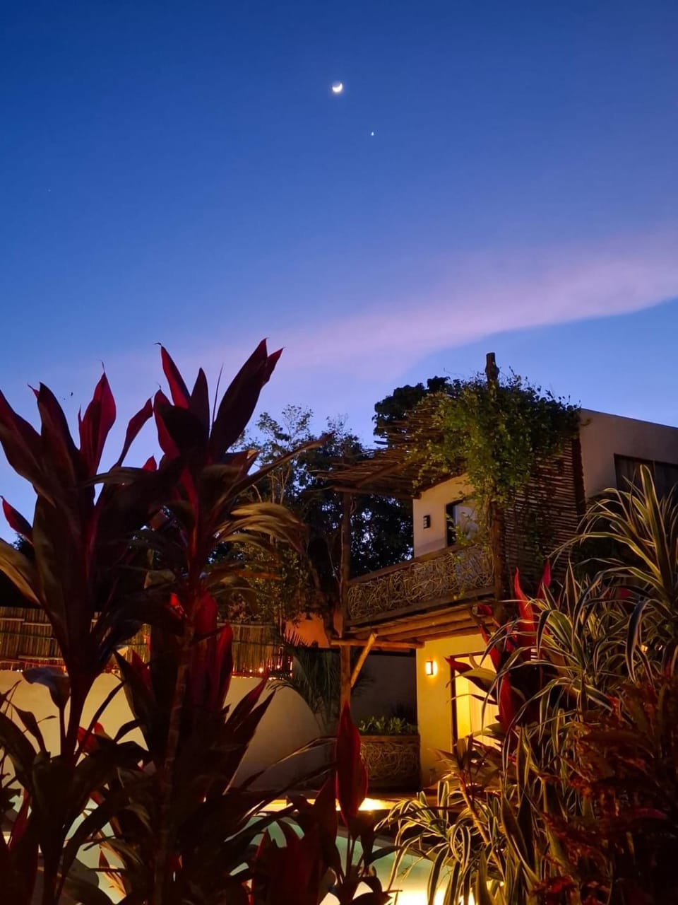 Night, Garden view
