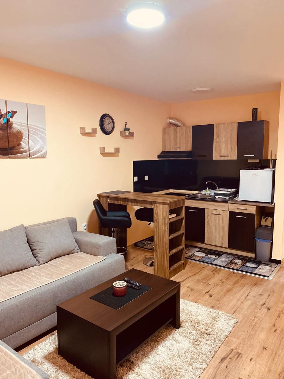 Aleksa Apartment in Belgrade