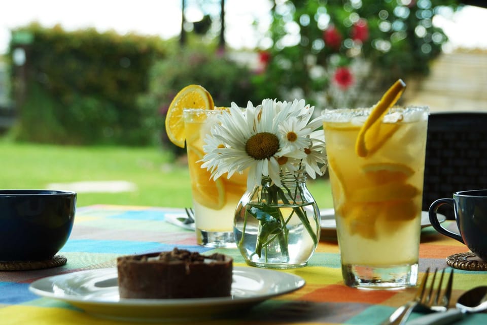 Property building, Garden, Food and drinks