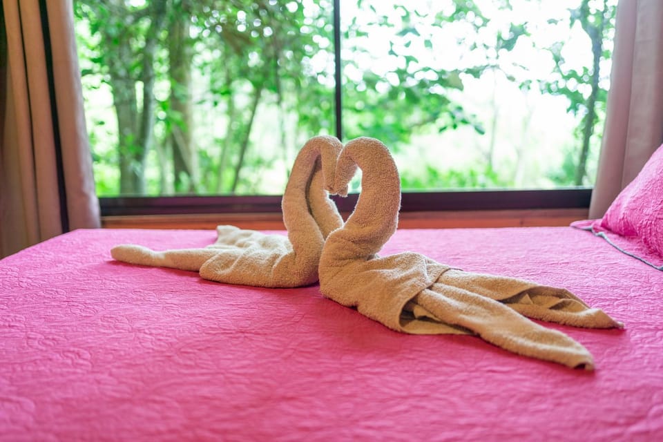 Bed, towels