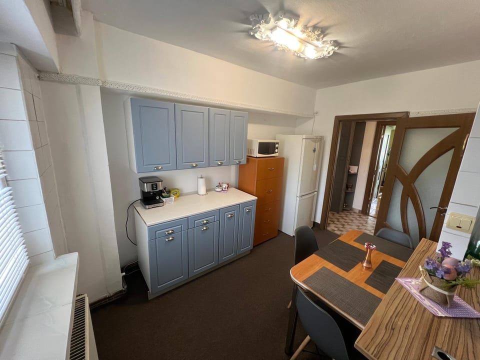 Downtown Apartment Apartment in Craiova