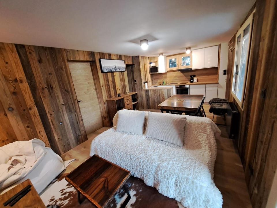 Appartement chaleureux 2 chambres 4-6 personnes Apartment in Montgenèvre