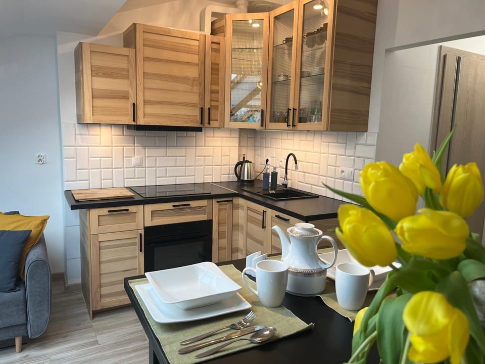 Kitchen or kitchenette, kitchen, kitchen