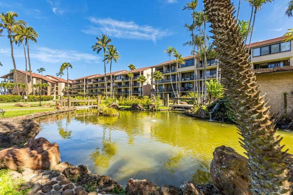 Papakea E206- Updated Papakea oceanview condo, all the amenities Apartment in Kaanapali