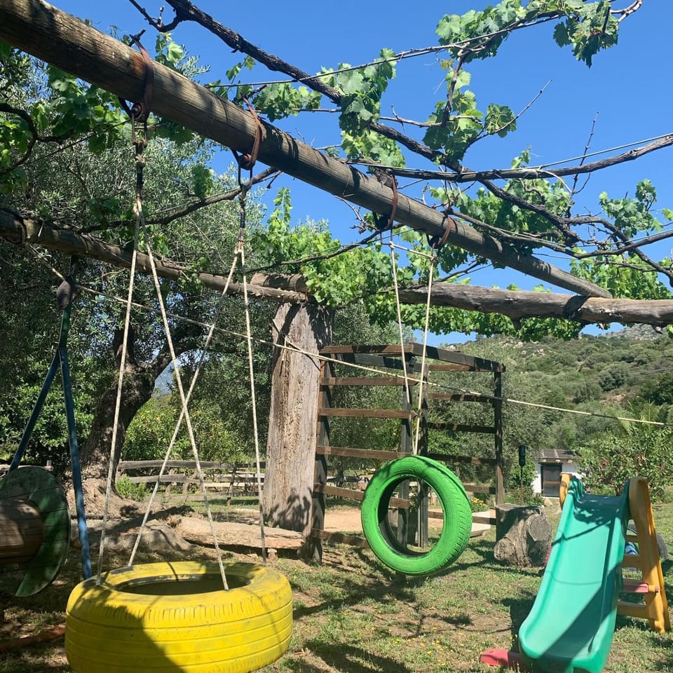 Children play ground