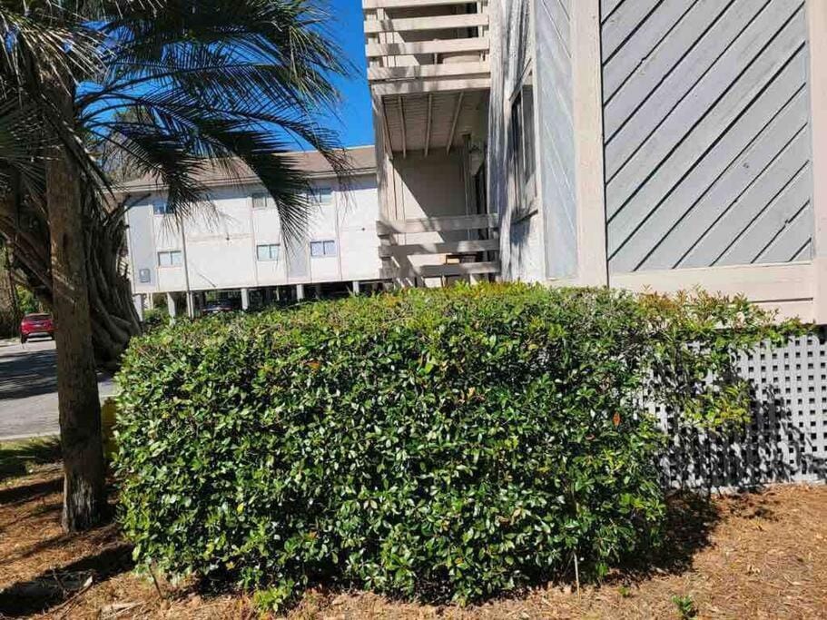 2026 Renovated 2-bdrm cozy, lovely condo with parking! Apartment in Hilton Head Island