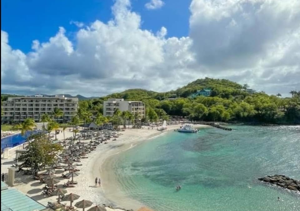 Beachfront Cozy Apt Apartment in Caribbean