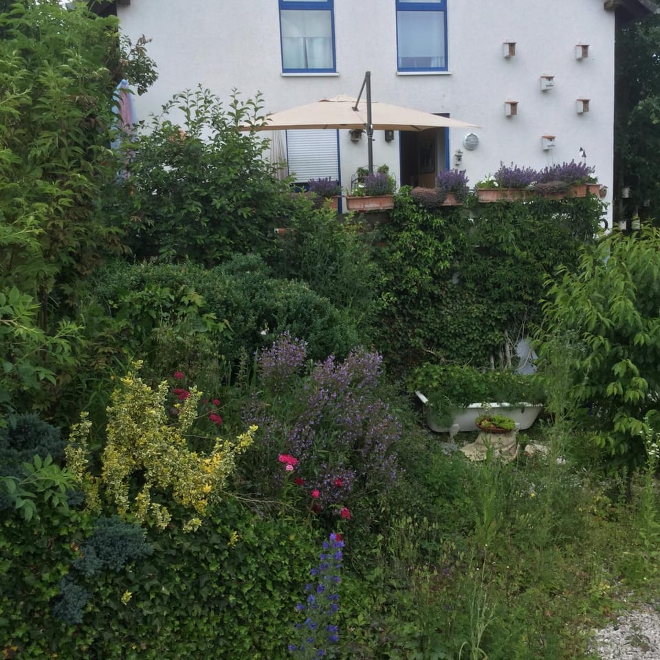 Property building, Garden