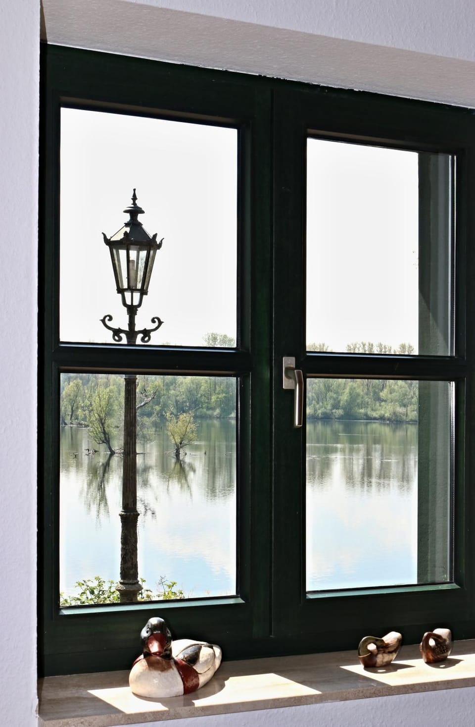 Lake view
