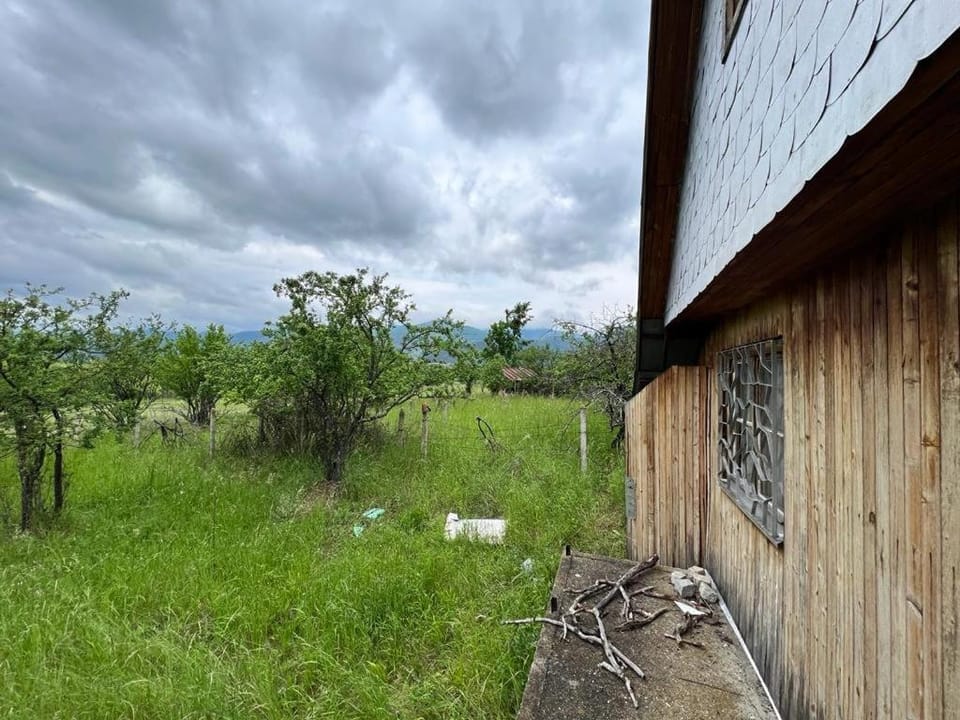 Spring, Day, Natural landscape