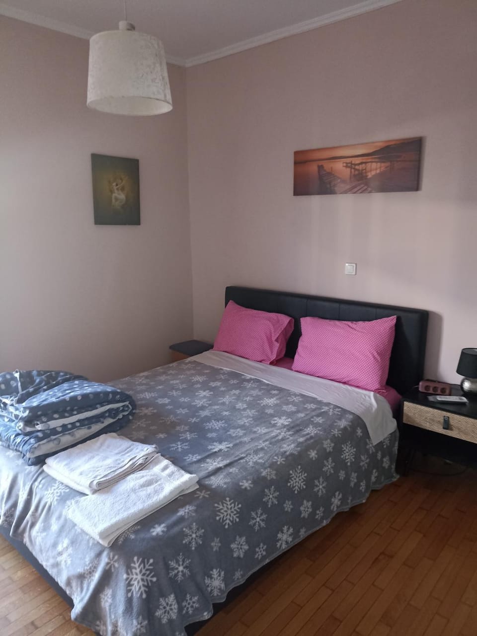 Penth Apartment in Athens