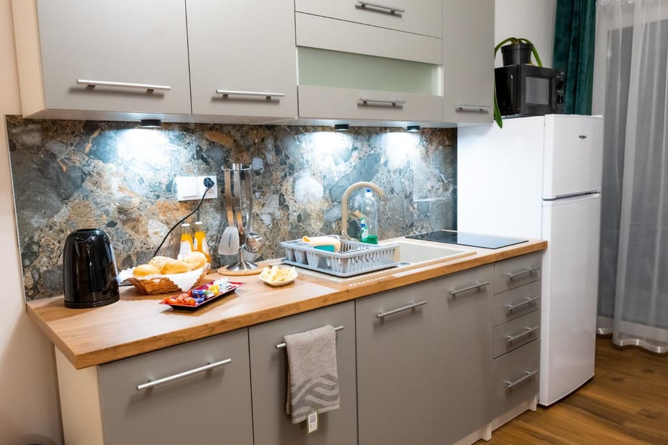 Coffee/tea facilities, Kitchen or kitchenette, minibar, pet friendly, stove