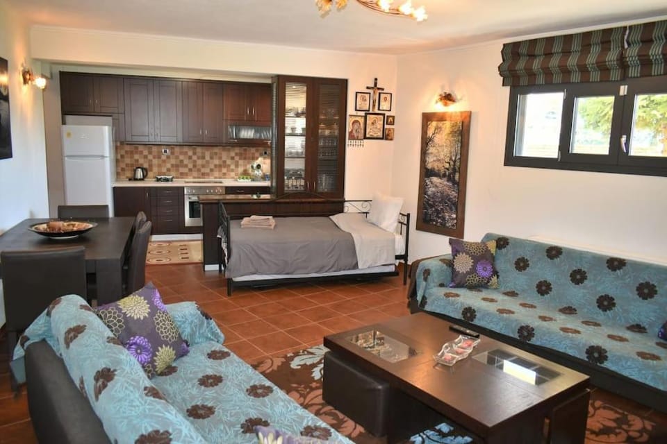 Vasiliki House Apartment in Trikala