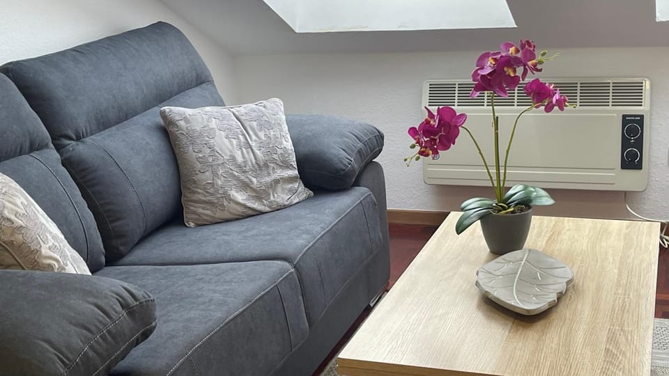 TV and multimedia, Living room, Photo of the whole room, Decorative detail