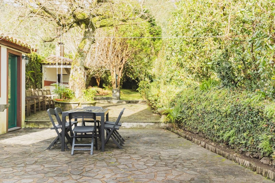 Patio, Garden