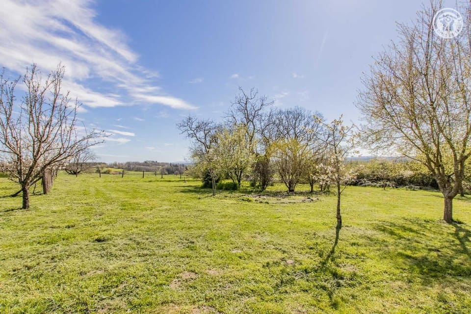 Natural landscape, Garden, Garden view