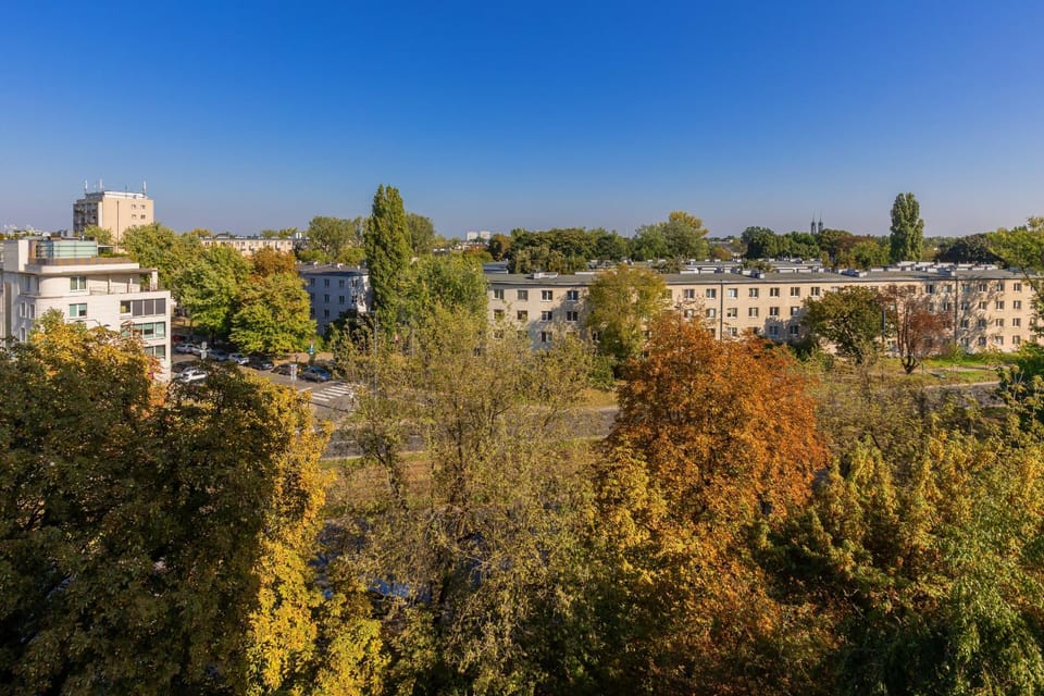 Natural landscape, Bird's eye view, View (from property/room), City view