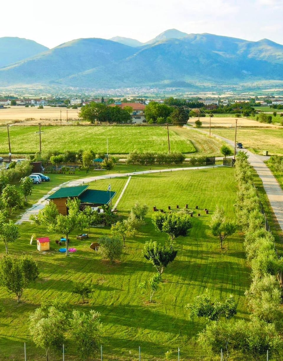 Avra Wooden House Apartment in Decentralized Administration of Macedonia and Thrace