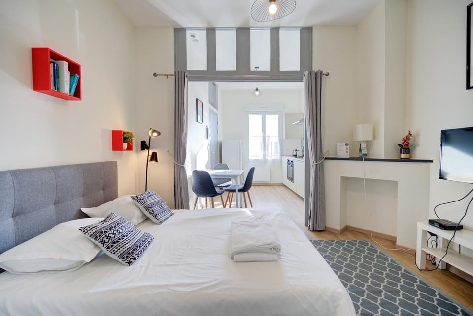 Le Vinci / Proche Château D'Amboise Apartment in Amboise