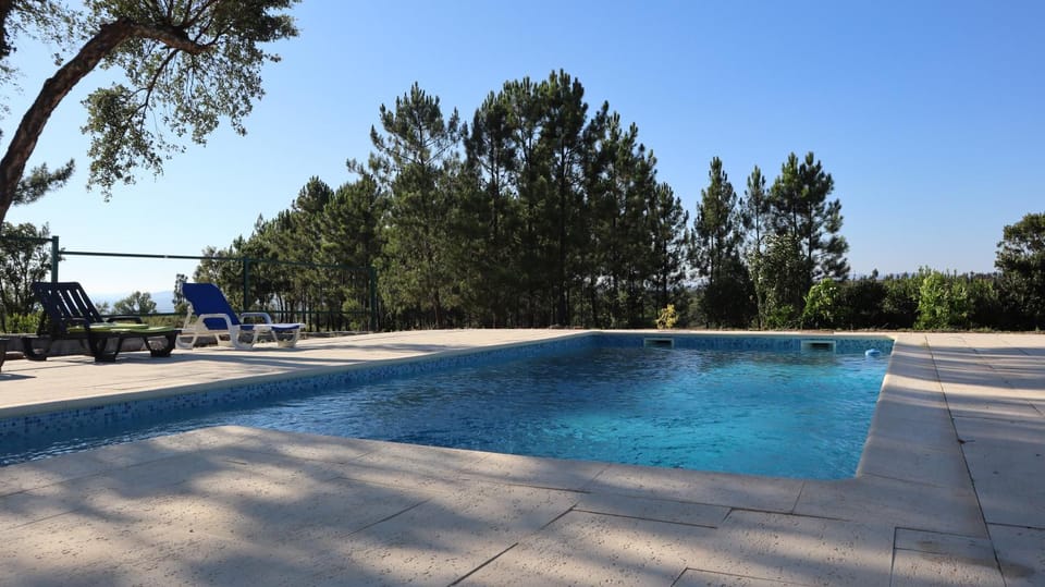 Pool view, Swimming pool, sunbed