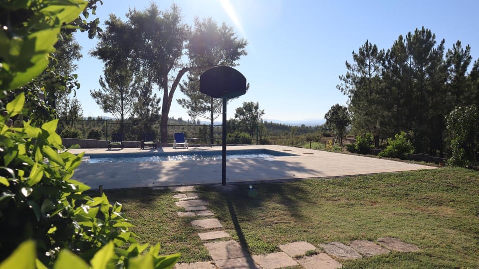 Pool view, Swimming pool, Sports, sunbed