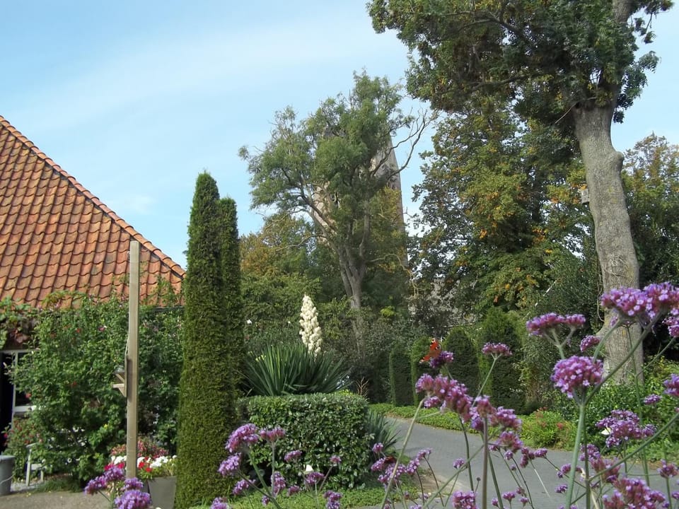 Property building, Garden, Garden view, Parking