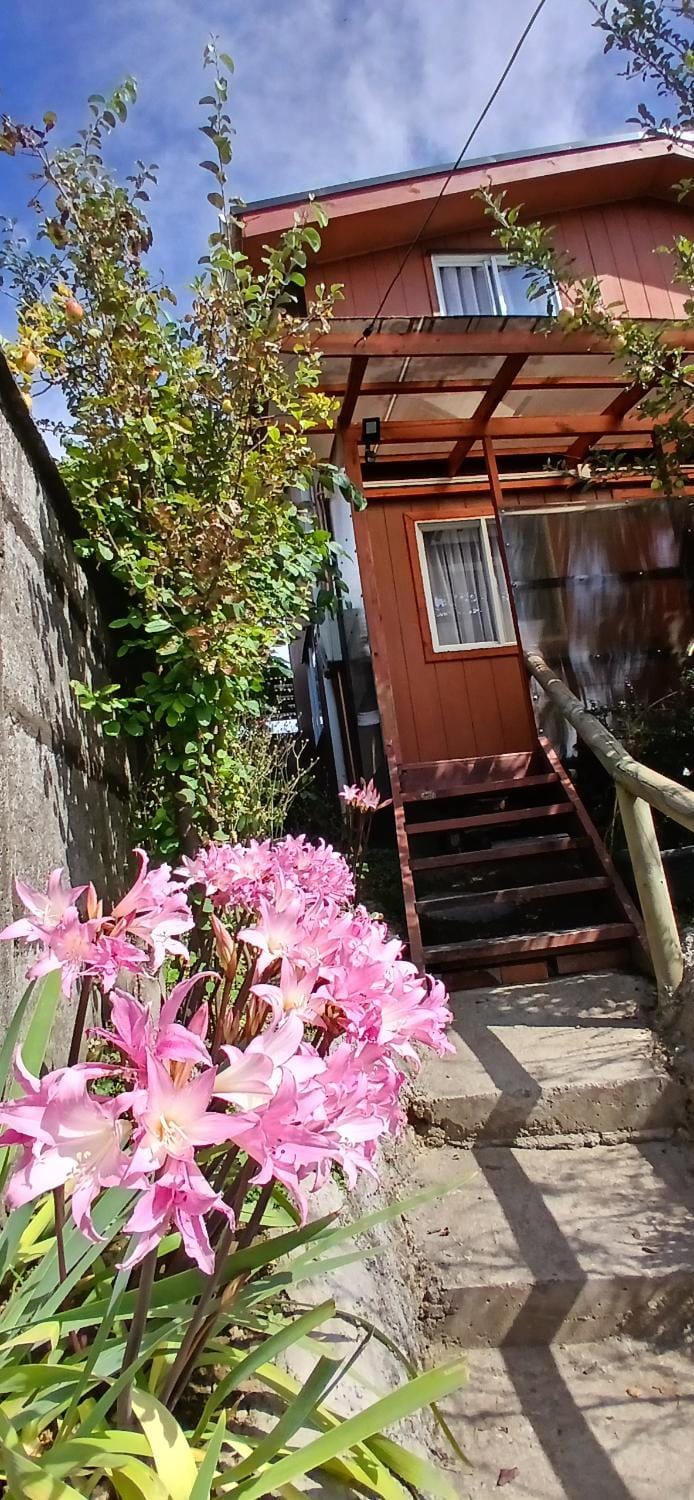 Cabañas Los Geranios Apartment in Osorno