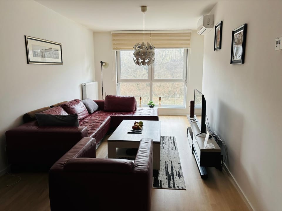 TV and multimedia, Living room, Seating area, Evening entertainment