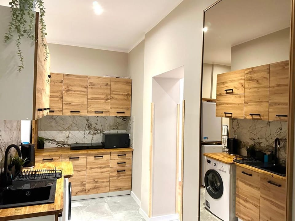 Kitchen or kitchenette, minibar, stove, washing machine