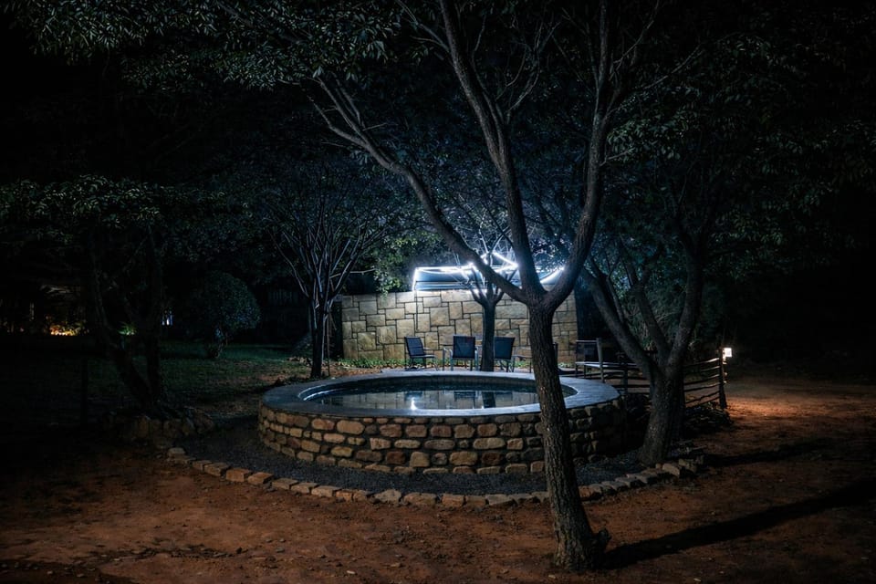 Night, Garden, Garden view, Swimming pool