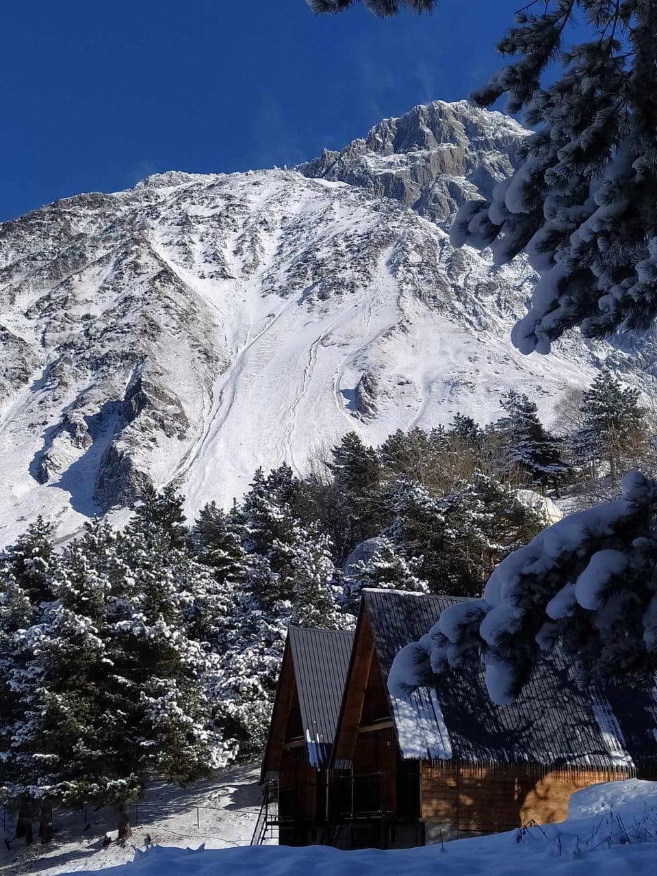 Winter, Mountain view