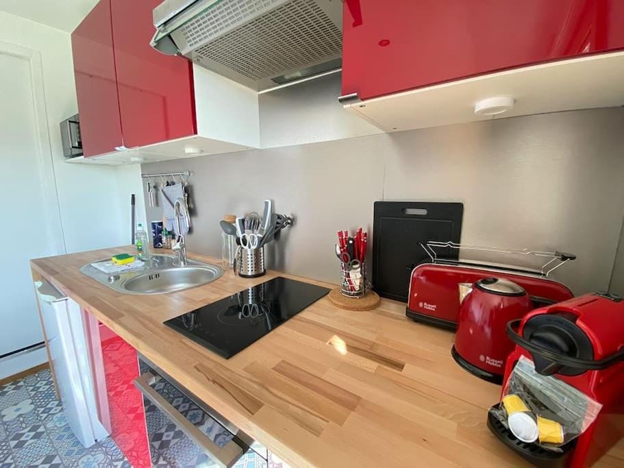 Coffee/tea facilities, Kitchen or kitchenette, minibar, pet friendly, stove