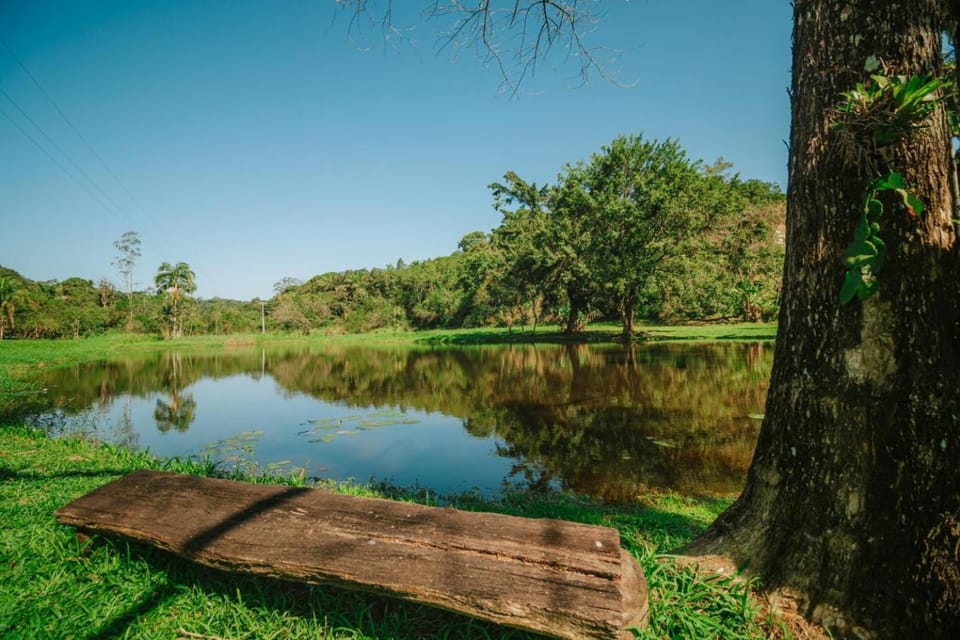 Lake view
