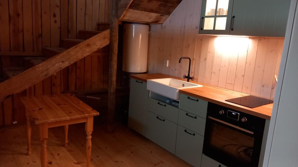 Kitchen or kitchenette, dishwasher, stove