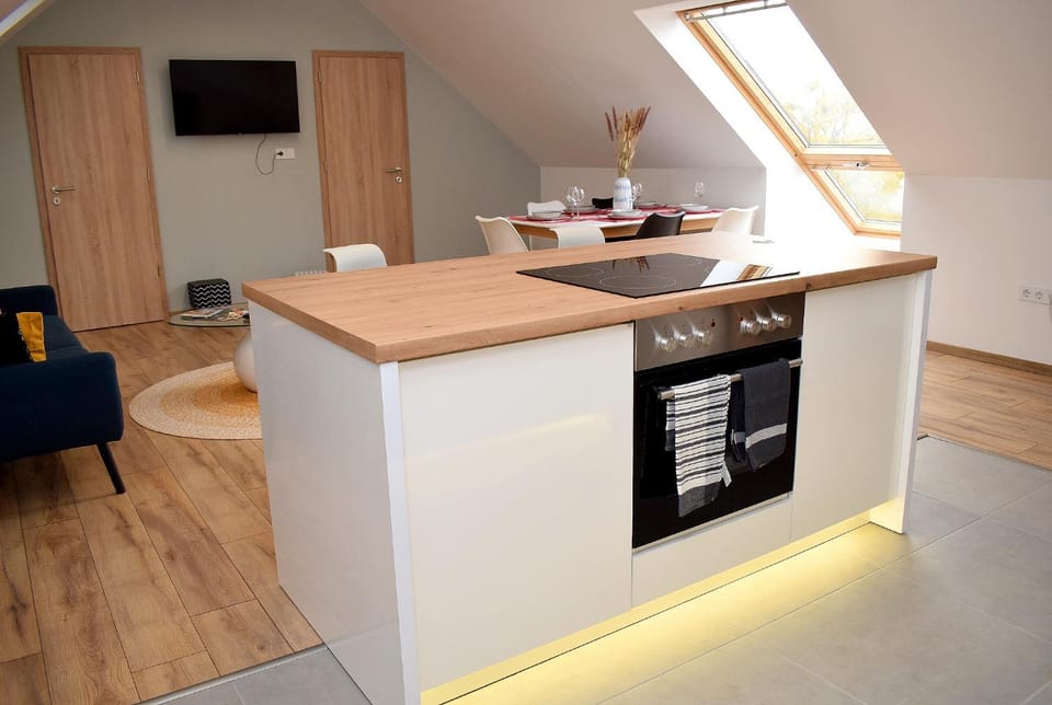 Kitchen or kitchenette, minibar, pet friendly, stove, kitchen