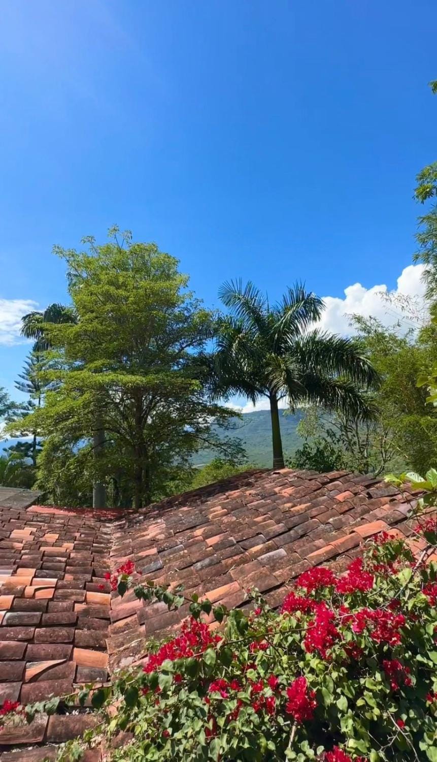 Spring, Day, Natural landscape, Garden, Balcony/Terrace, Garden view, Mountain view