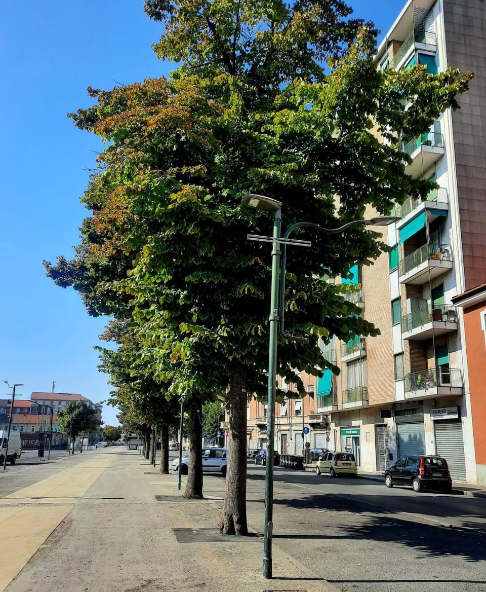 Property building, Neighbourhood, Street view, Parking