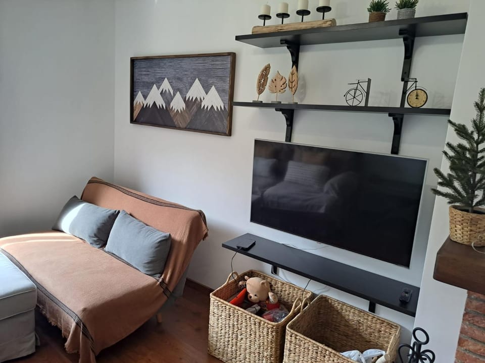 TV and multimedia, Living room