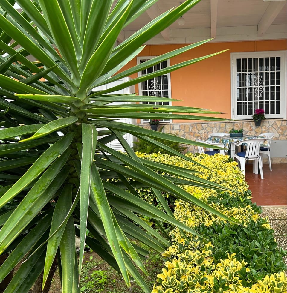 Garden, Garden